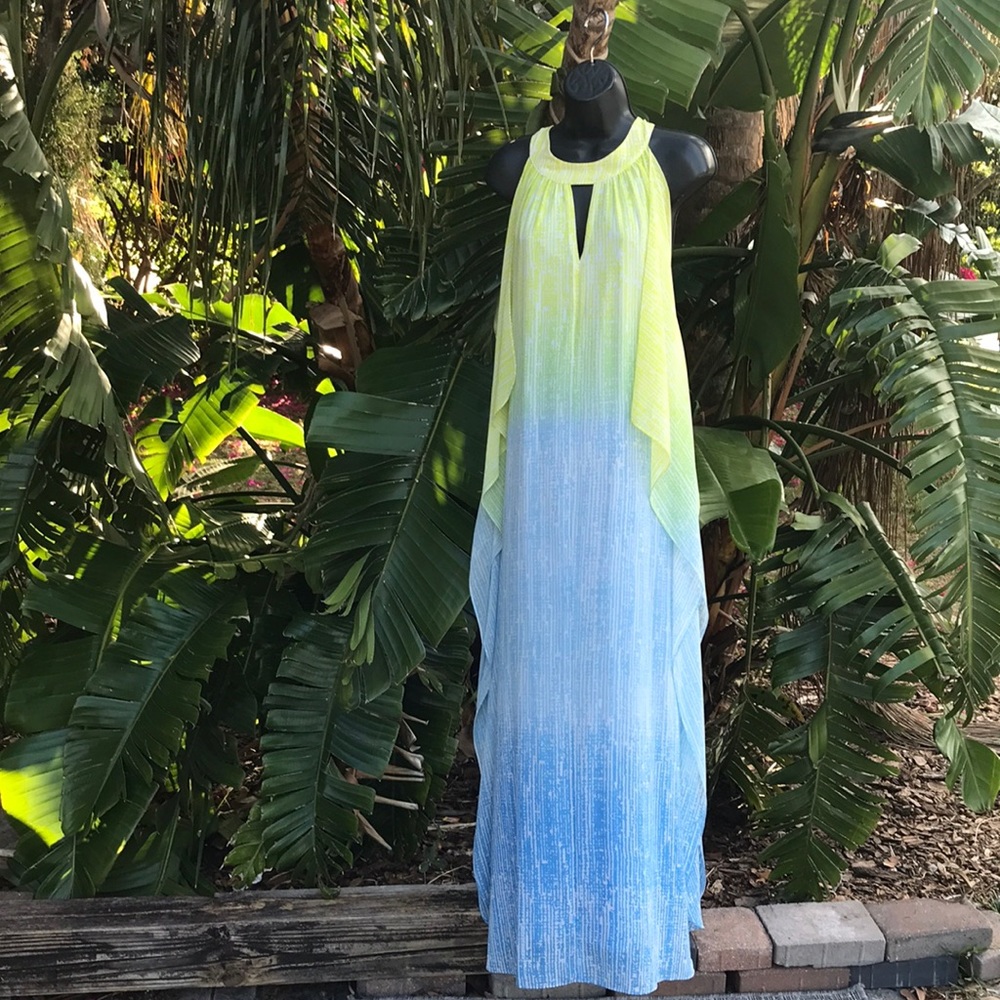 Badgley Mishka ombre chiffon halter look gown